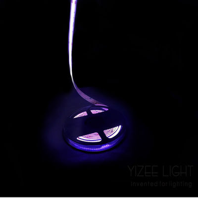 Bez kropek Kolorowy Cob Rgb Rgbw Adresowalny LED Strip 784Chips/M 24V 12mm